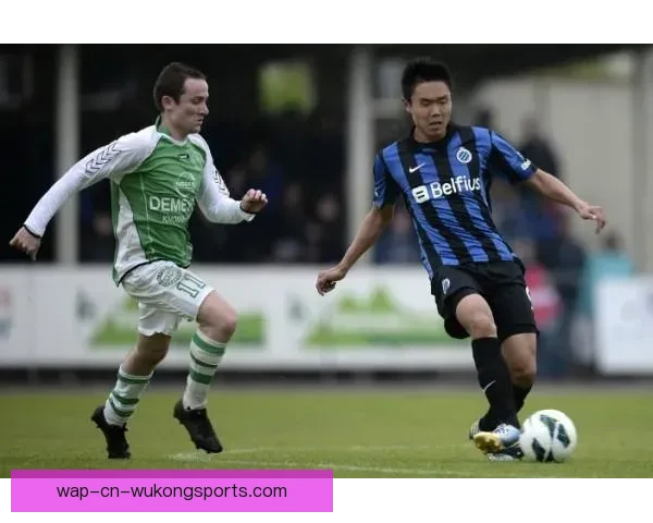 聚焦比利时足球队新老融合阵容实力与战术前景解析全面评估核心走向